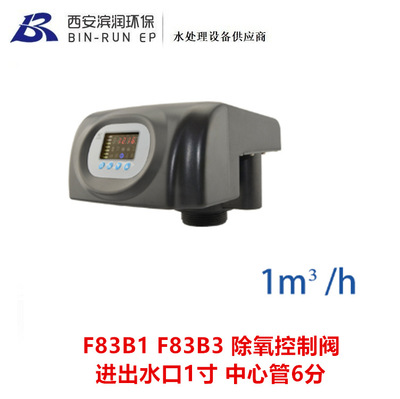 润新1吨除氟控制阀11501 F83B1 11601 F83B3进出水口1寸中心管6分