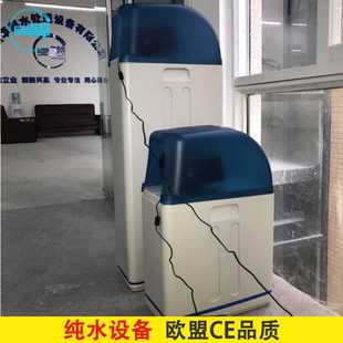 豪华型中央净水机 商务宾馆会所中央软水器 别墅一体式 软水机