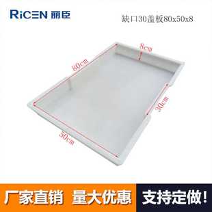 丽臣塑业 厂家直销 缺口30cm盖板80x50x8cm pp塑料混凝土模具