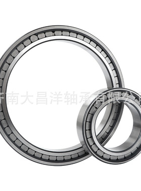 SL183010A SL183011A SL183012A-XL单列满装圆柱滚子单向定位轴承
