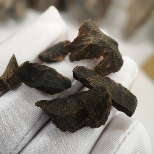 越南黑棋楠沉水沉香老料全油 沉香黑奇南原材料沉水1克