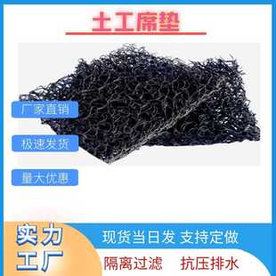 垃圾填埋场过滤网状包布土工席垫 直供RCP渗排水网垫