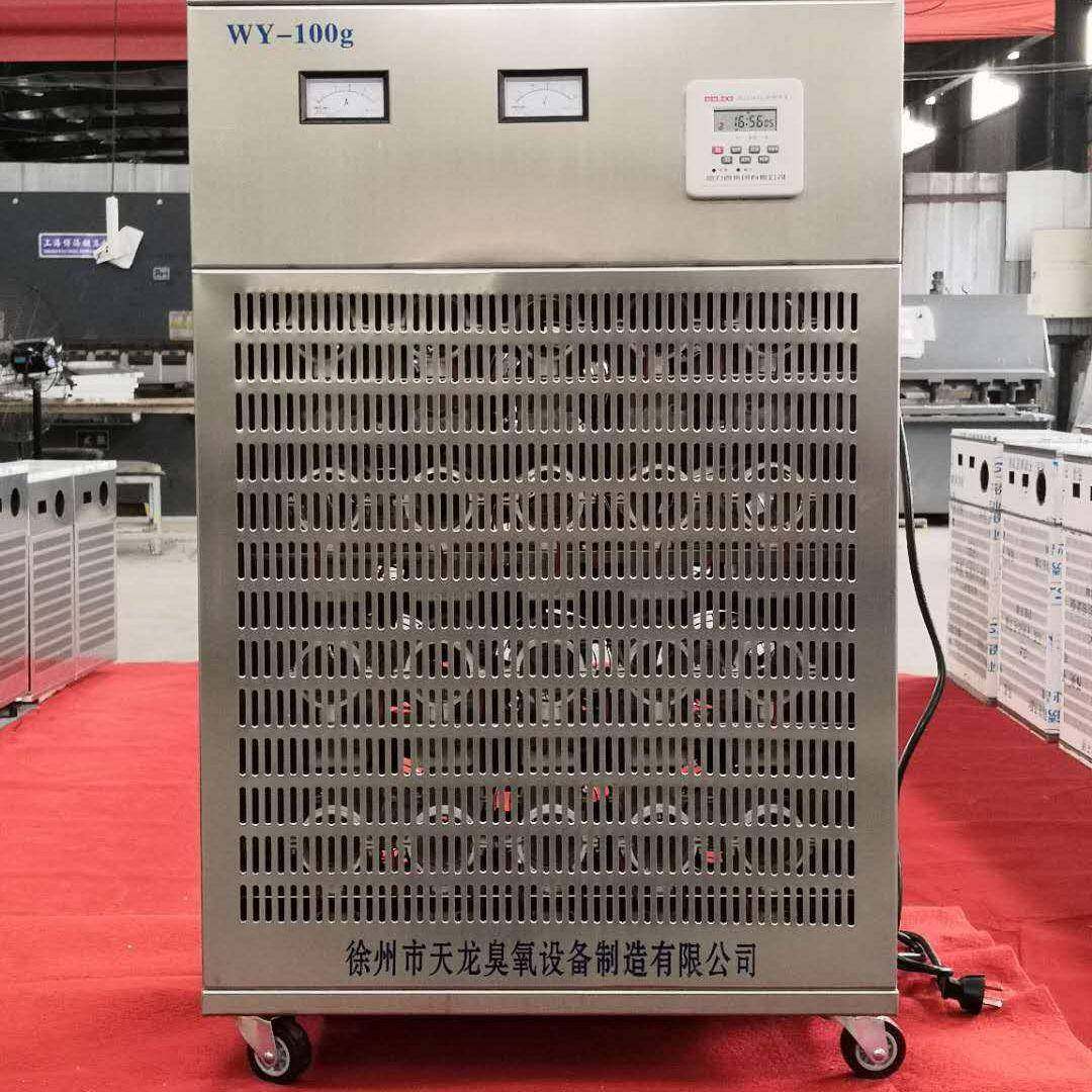 厂家直销臭氧发生器WY-100g移动式防水臭氧机食用菌业食品厂药厂