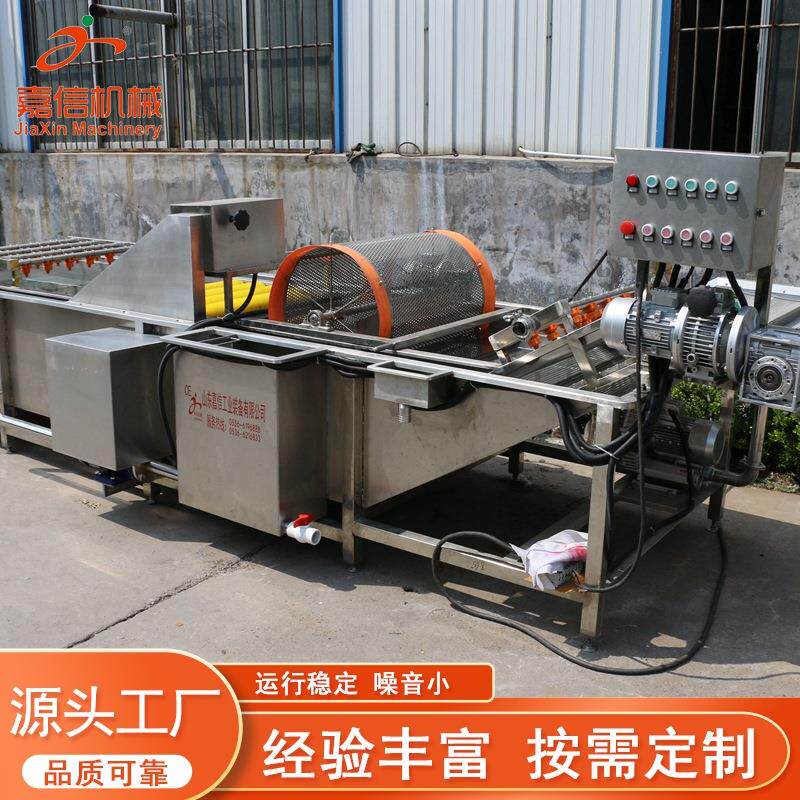 橙子果蔬清洗机大型苹果梨子柑橘清洗风干设备枸杞气泡清洗机