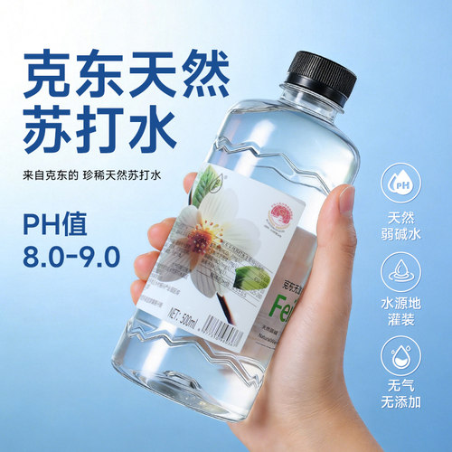 斐矿克东天然苏打水500ml*12瓶