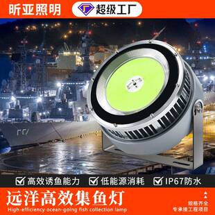 户外防水LED诱鱼灯聚鱼集鱼灯青光船用筏钓海钓引鱼捕鱼灯超亮