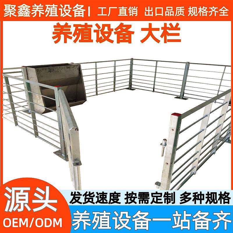 育肥栏育肥猪栏位热浸锌金属栏养猪大栏畜牧机械设备养殖场