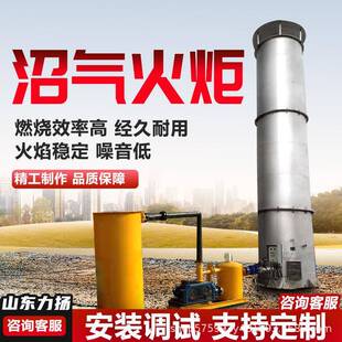 啤酒厂污水处理厂设备工程1900立方内燃式沼气火炬养殖场定制装置