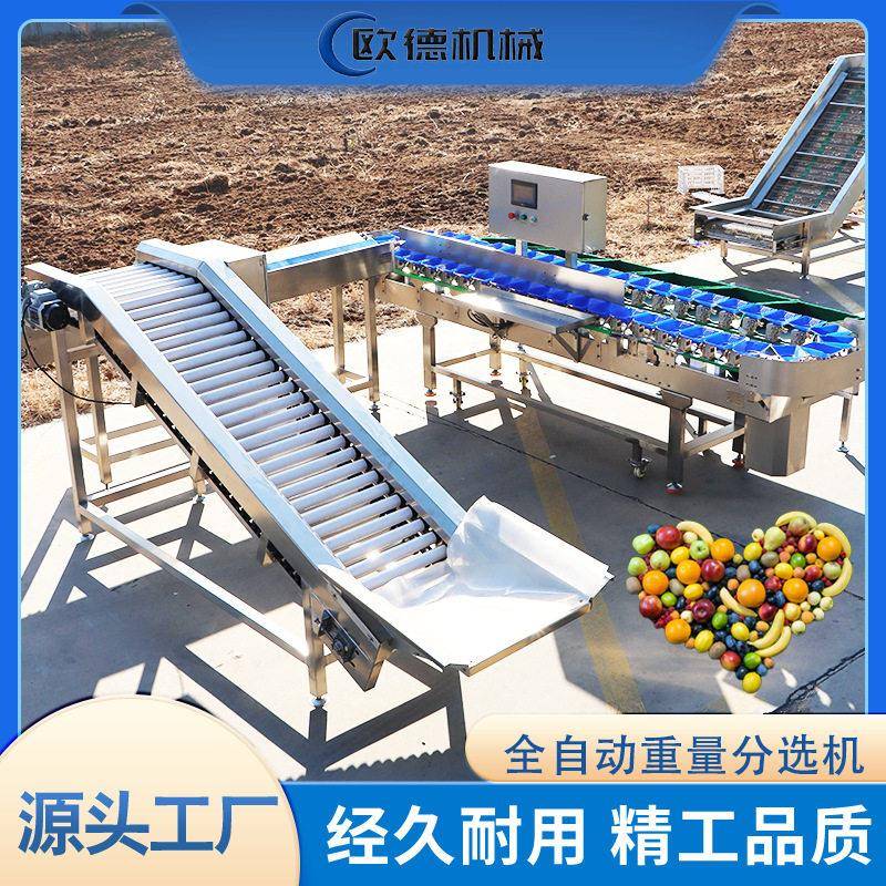 鸡爪分拣小龙虾海参自动分级机生蚝重量分选机料盒快误差小