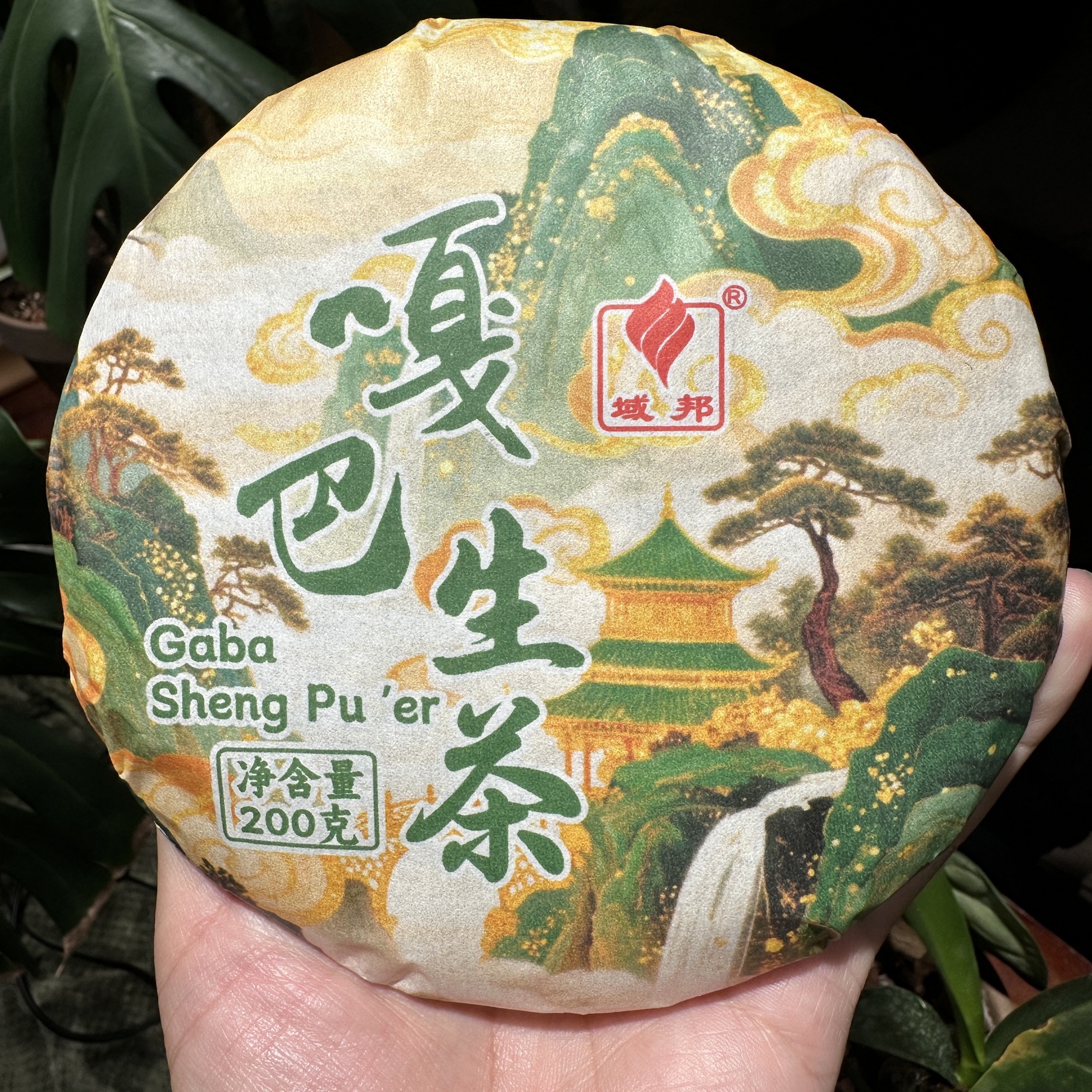 GABA普洱茶生茶200g饼茶云南七子饼茶氨基丁酸茶伽马茶嘎吧养胃茶