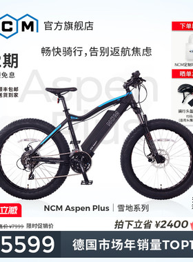 诺驰迈NCM德系ASE+电助力自行车ebike高端铝合金车架长续航通勤车
