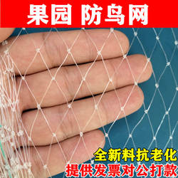尼龙防鸟网大棚果树樱桃葡萄梨树蓝莓果园防鸟用网养殖场鱼塘天网