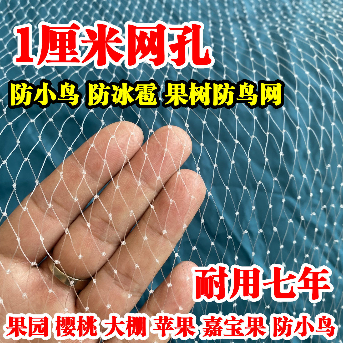 果树防鸟网1厘米网孔防雹网大棚樱桃葡萄苹果蓝莓防鸟用网防鸟罩