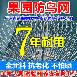 防鸟网尼龙大棚果树樱桃葡萄梨树蓝莓果园防鸟用网鱼塘天网养殖网