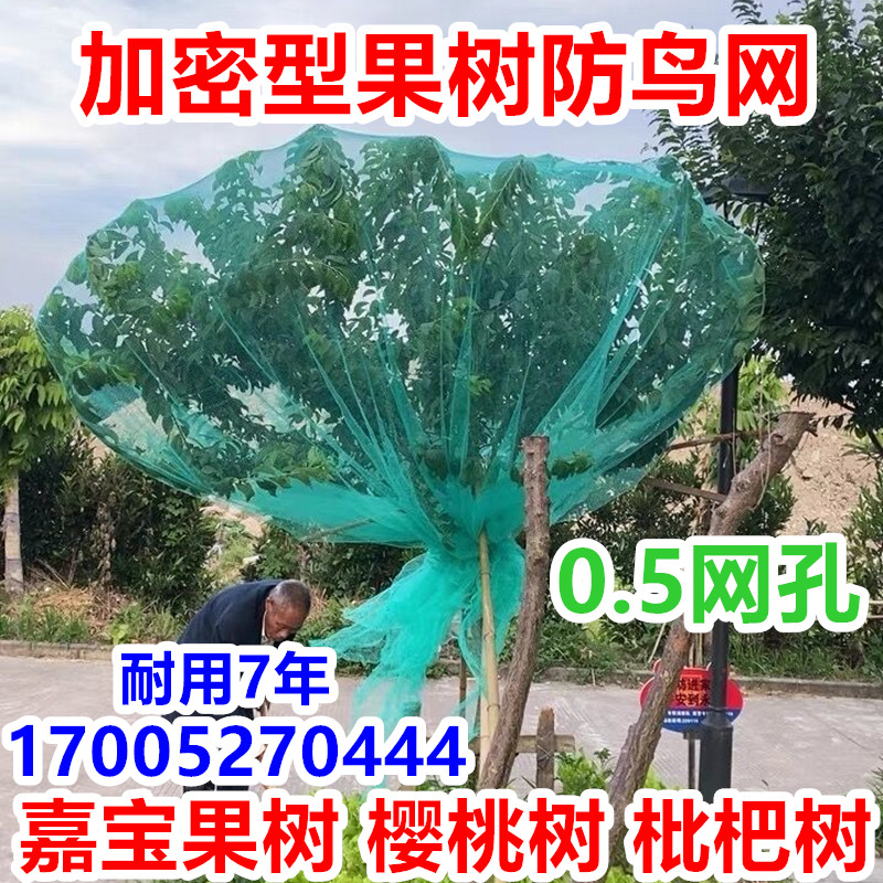 加密型防鸟网果树防冰雹用的天网