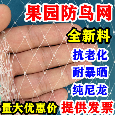 新型防鸟网真尼龙抗老化耐用七年