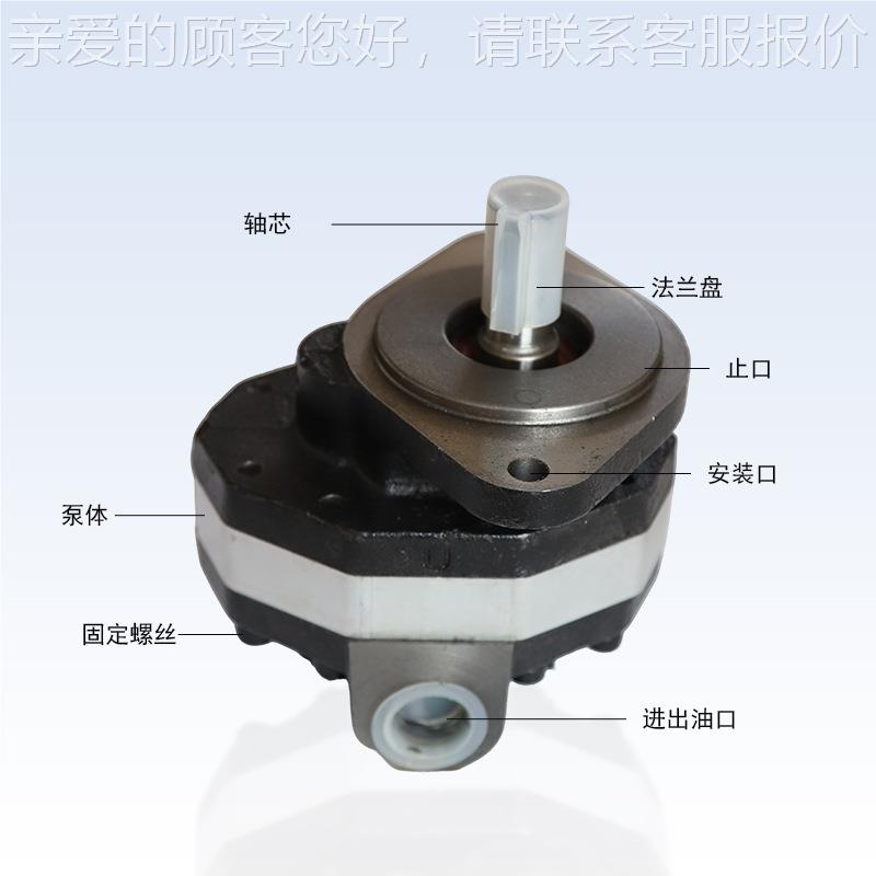 C液压CB-F10泵-16-18-LWE20-25-32-40-0液压齿轮泵5厂家现货速发
