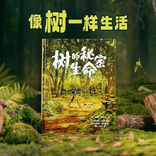 漫画解读树木，读懂森林生命智慧