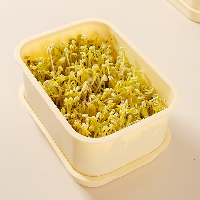 水培发豆芽机器育苗盘种黄绿豆芽桶罐神L器家用豆芽发芽盆加厚