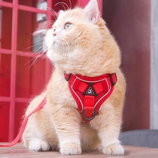 网红猫咪牵引绳防挣脱外出遛猫神器宠物背O带链子可调节溜猫绳