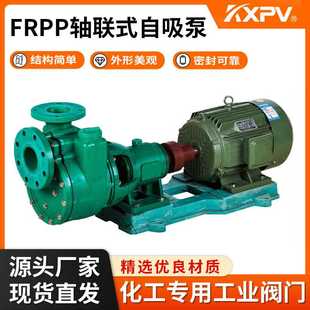 化工泵工程塑料泵 凯鑫KXPV FRPP轴联式 自吸泵 管道