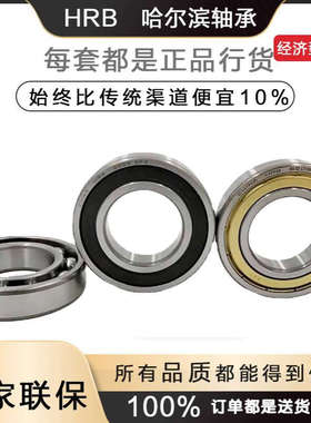 HRB轴承6406N 6407N 6408N 6409N 6410N 6411N 6412N 6413N 6414N