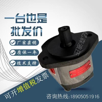 德国捷克JIHOSTROJ齿轮泵Q2 10/17/27/34/43/51/61/71/82/100