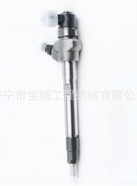 0433171921共轨喷油器0445110317 0445110482喷油嘴总成