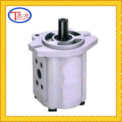 CBK1004-B1FR齿轮泵 微型齿轮泵 小排量齿轮泵