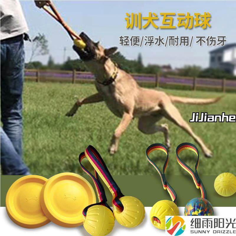 橡胶球宠物训犬球狗玩具训狗飞盘拉环响片耐咬咬棒专用马犬德牧训