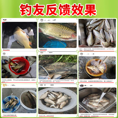 西部风老坛谷麦垂钓饵料小麦玉米混合江河打窝料鲫鲤饵鱼饵诱