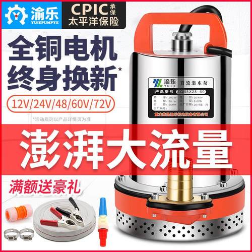 渝乐12V直流潜水泵24V48V60V伏电动车电瓶式小型抽水泵机农用灌溉