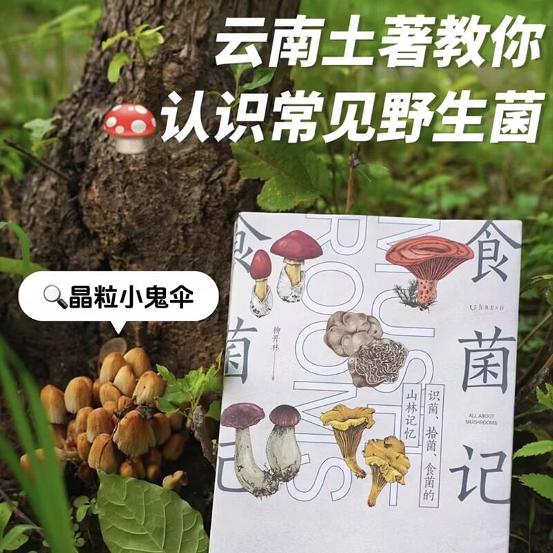食菌记：识菌、拾菌、食菌的山林记忆。从云南到北京，二十年拾菌专业户的菌类笔记 饮食文化 蘑菇 菌子的历史文化和科普知识 未读