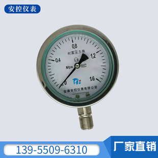 型 防腐低压 就地不锈钢耐震精密压力表 耐震电接点压力表 Y100