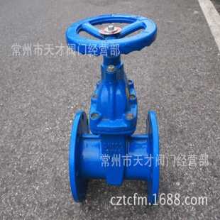 不锈钢 Z45X 弹性座封闸阀 暗杆软密封闸阀 小体轻型球墨铸铁闸阀