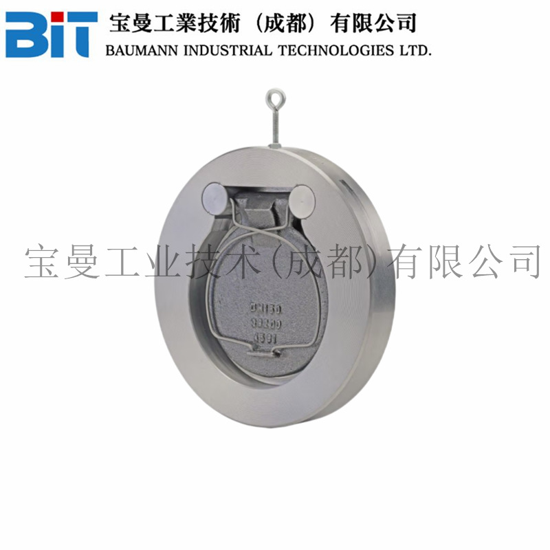 德国进口GESTRA止回阀CB系列经济型高性能工业流体旋启式止回阀