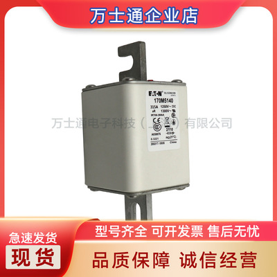 170M5266 170M5267 170M5268 170M6258 170M6259 170M6260熔断器