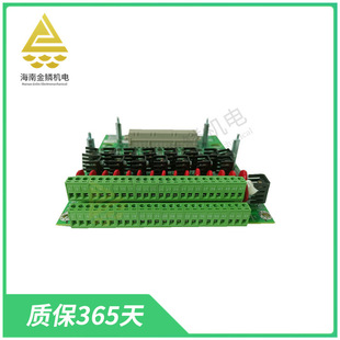 IC200CBL550 GE通用数字输入端子 IS210BPPBH2BMD