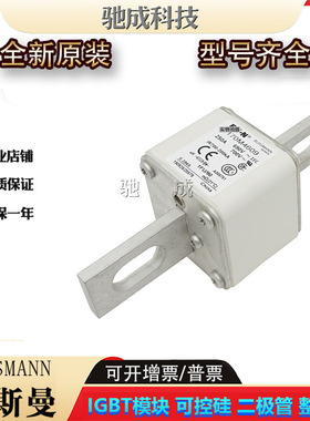 巴斯曼170M4670 170M4672 170M4699  低压保险丝诚信经营货源充足