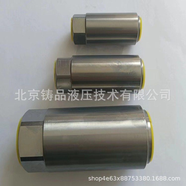 S20A30-1X/450J3单向阀