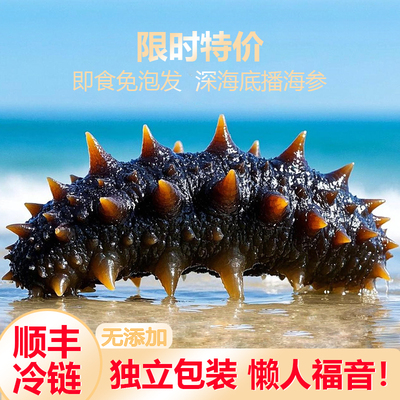 深海海参即食海参500g