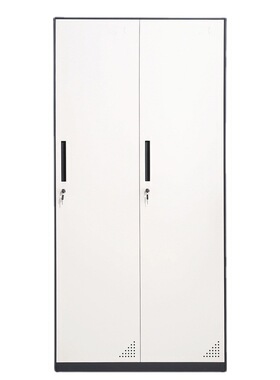 成都钢制套色更衣柜铁皮员工存包柜带锁加厚咖色灰色储物柜多门柜