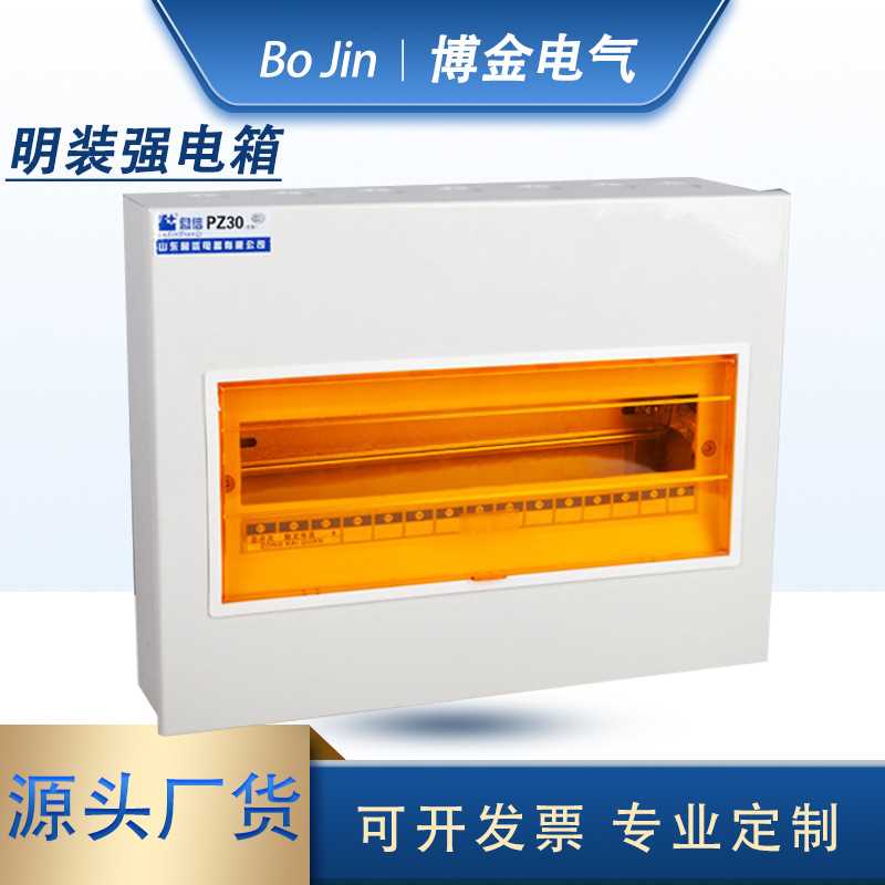 明装配电箱 PZ30回路箱 家用开关箱 加厚强电箱 漏保盒明1.0-0.8