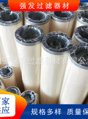 PPMG 40256-1-SS-MR-37天然气滤芯型号多样出厂价格