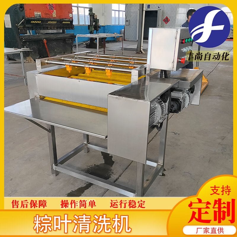 丰尚毛辊式平行箬竹叶清洗机 粽叶清洗设备 自动化芭蕉叶清洗设备