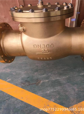 HY44W-25P氧气旋启式止回阀 不绣钢氧气法兰止回阀 自动式止回阀