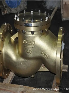 HY41W-25P 禁油脱脂氧气升降式止回阀 不锈钢304氧气管道止回阀