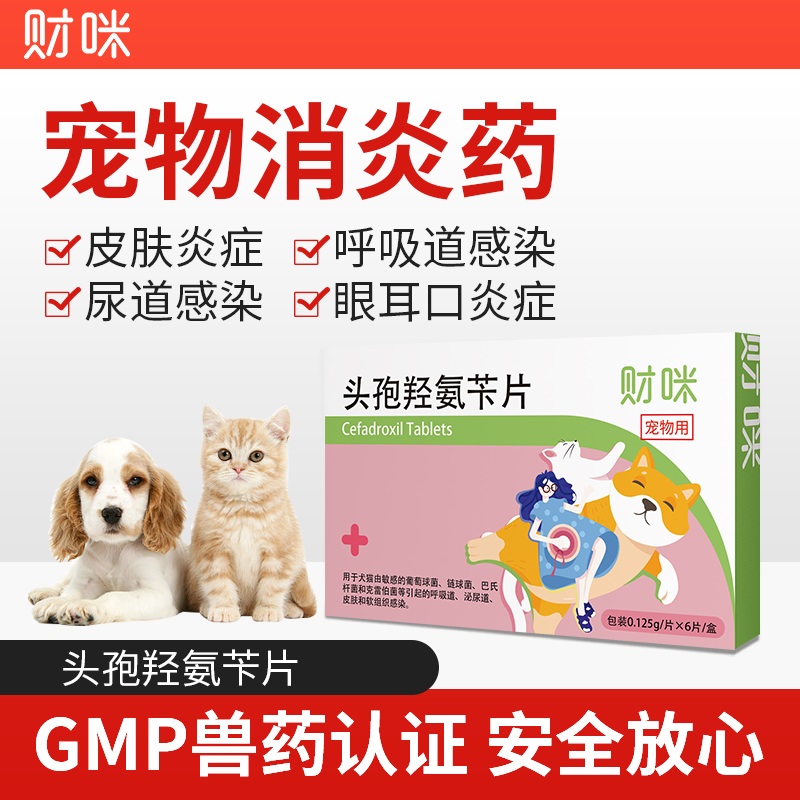 财咪宠物消炎药头孢羟氨苄片