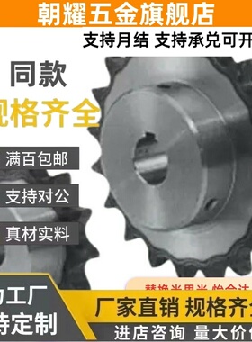 60B/50B/80链轮BSP40B15-N-12-14-15-16-17-18-19-20-22-24-25-35