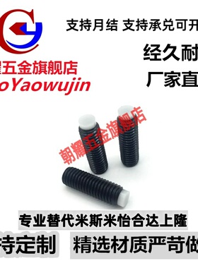 TDA06（品质保证）止动螺栓SBPP 8-10/12/16/20/25/30/40/50/60